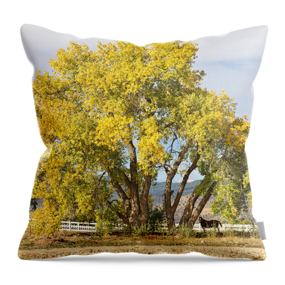 Horse Throw Pillow featuring the photograph Two Country Horses Autumn View by James BO Insogna