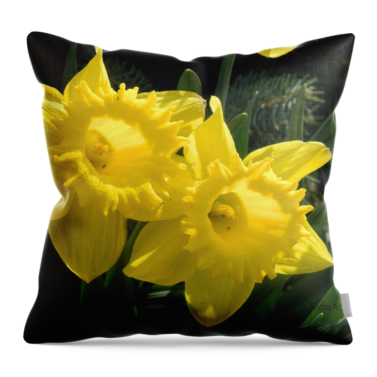 Daffodils Throw Pillow featuring the photograph Two Daffodils by Kathy Barney