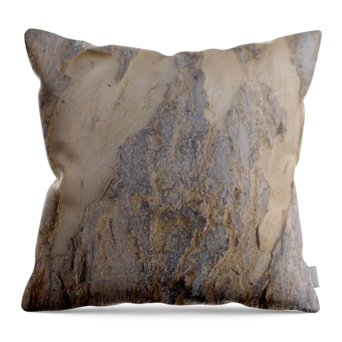 Two Throw Pillow featuring the photograph two heARTs by Nora Boghossian