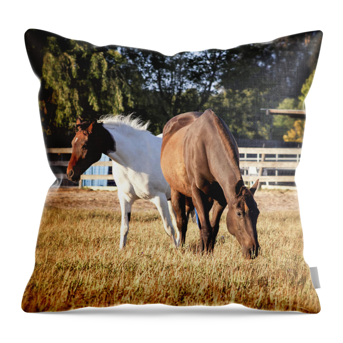 Horses Throw Pillow featuring the photograph Two Horses by Caitlyn Grasso