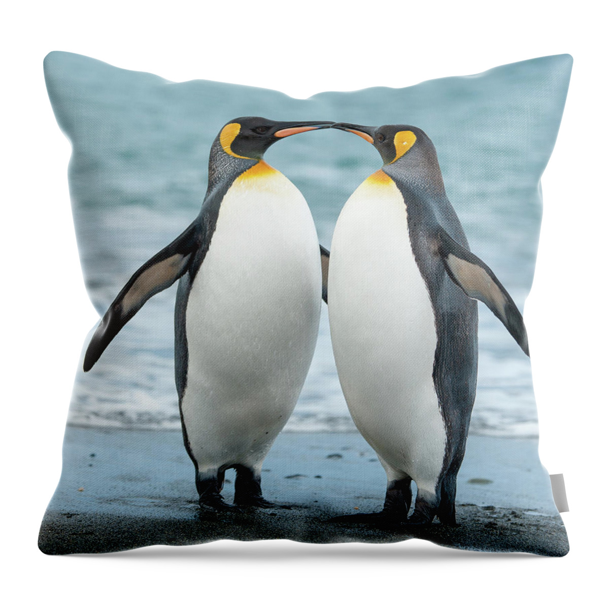 Black Color Throw Pillow featuring the photograph Two King Penguins On A Beach In South by Elmvilla