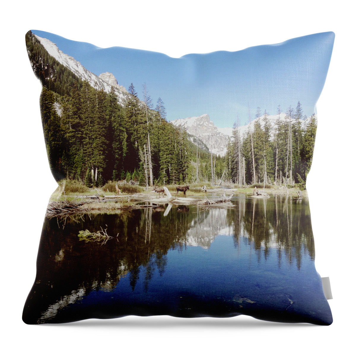 Scenics Throw Pillow featuring the photograph Two Moose And Trees by Kevin Russ