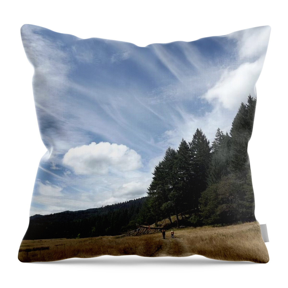 Clouds Throw Pillow featuring the photograph Two Of A Kind by Richard Faulkner