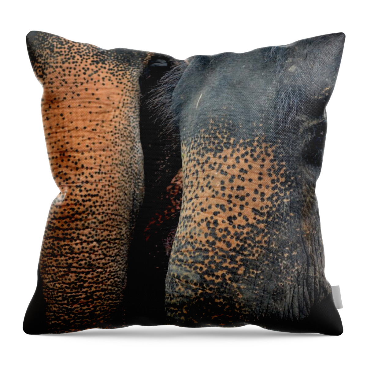 Michelle Meenawong Throw Pillow featuring the photograph Two Pals by Michelle Meenawong