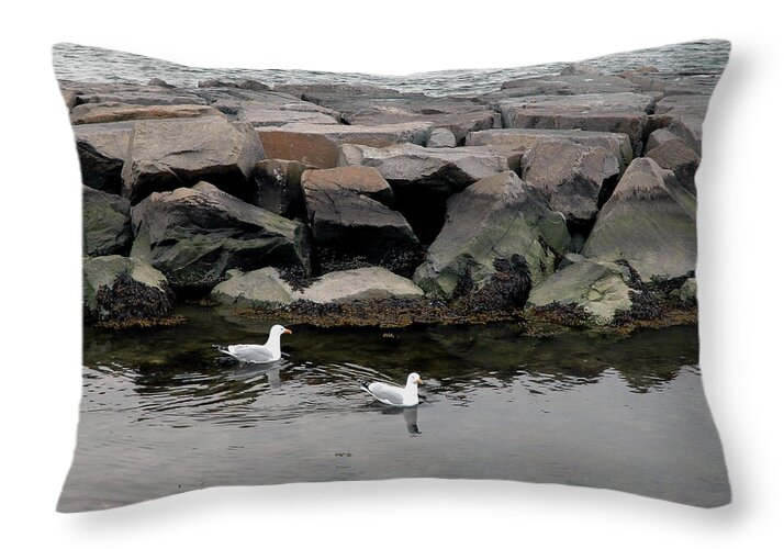 Two Seagulls Throw Pillow featuring the photograph Two Seagulls by Dorin Adrian Berbier