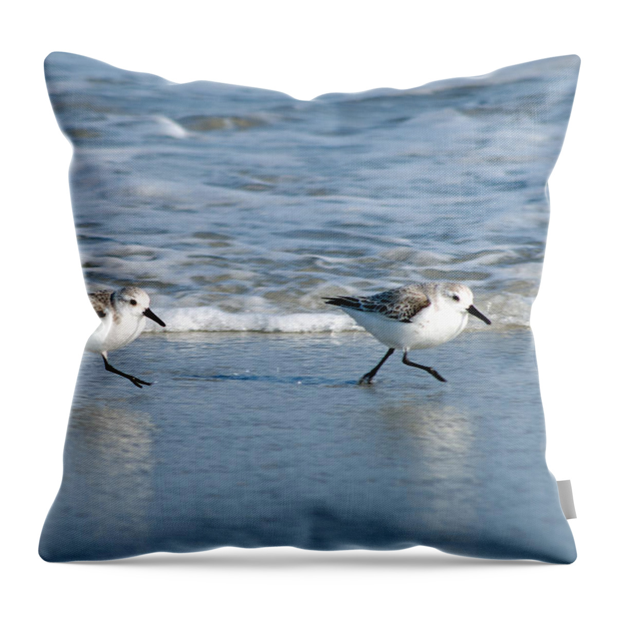 Ocean Throw Pillow featuring the photograph Two Step by Greg Graham