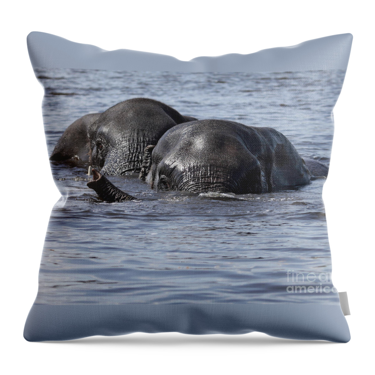 African Elephant Throw Pillow featuring the photograph Two swimming elephants by Liz Leyden