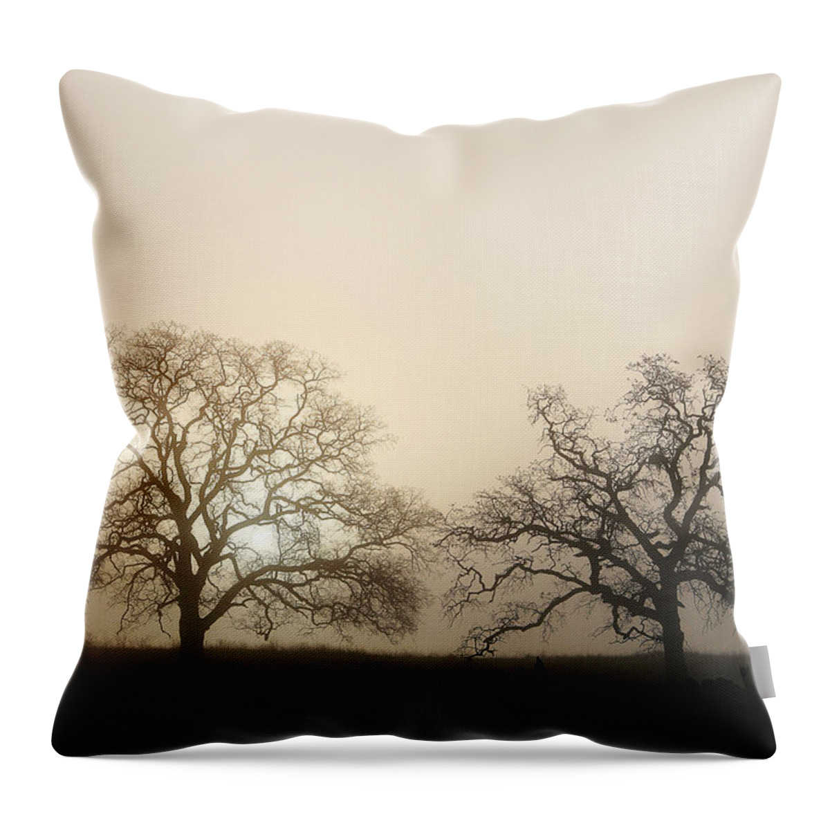 Chico Throw Pillow featuring the photograph Two Trees In Fog by Robert Woodward
