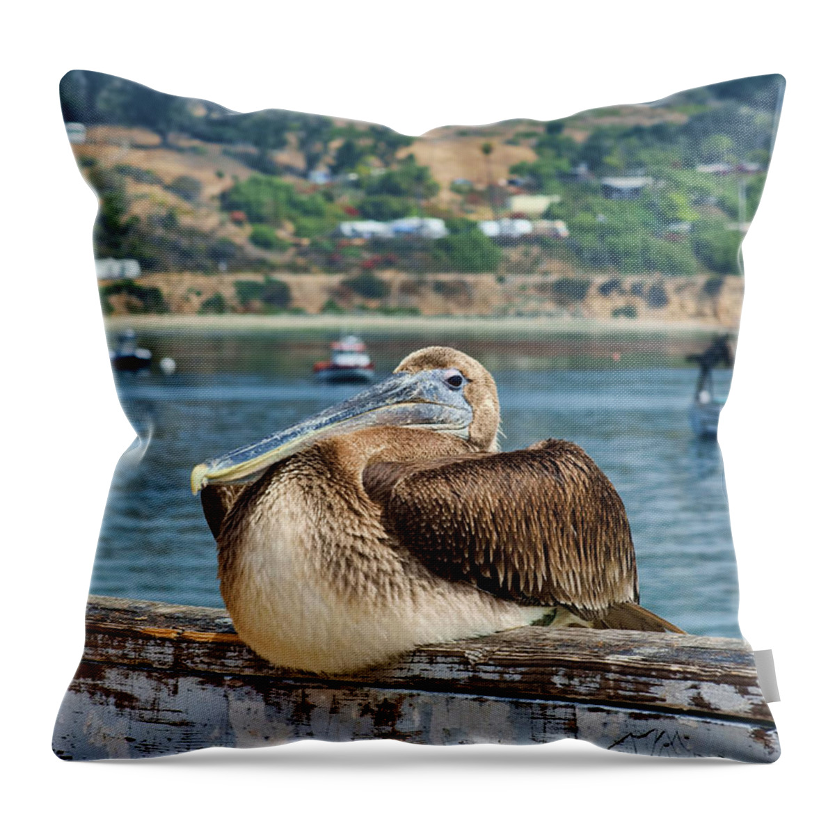 Bird Throw Pillow featuring the photograph Tyler's Pelican by Nikolyn McDonald