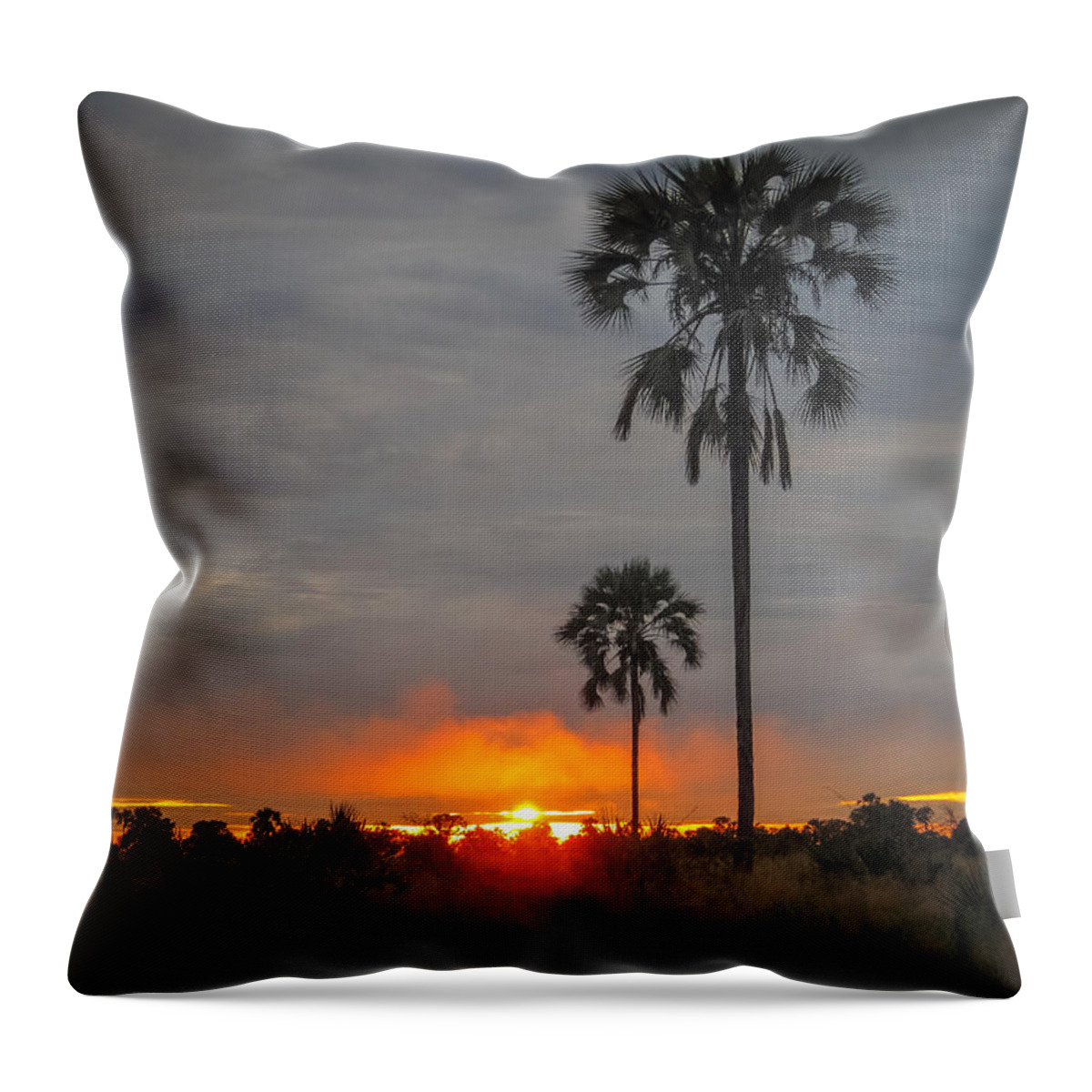 100324 Botswana & Zimbabwe Expeditions Throw Pillow featuring the photograph Typical African Sunset by Gregory Daley MPSA