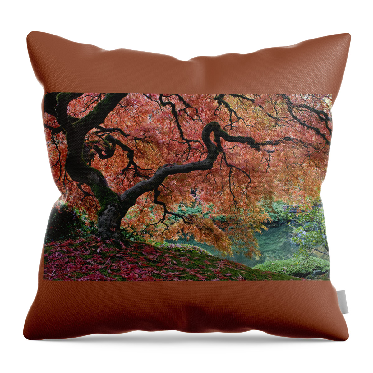 Under Fall's Cover Throw Pillow featuring the photograph Under Fall's Cover by Wes and Dotty Weber