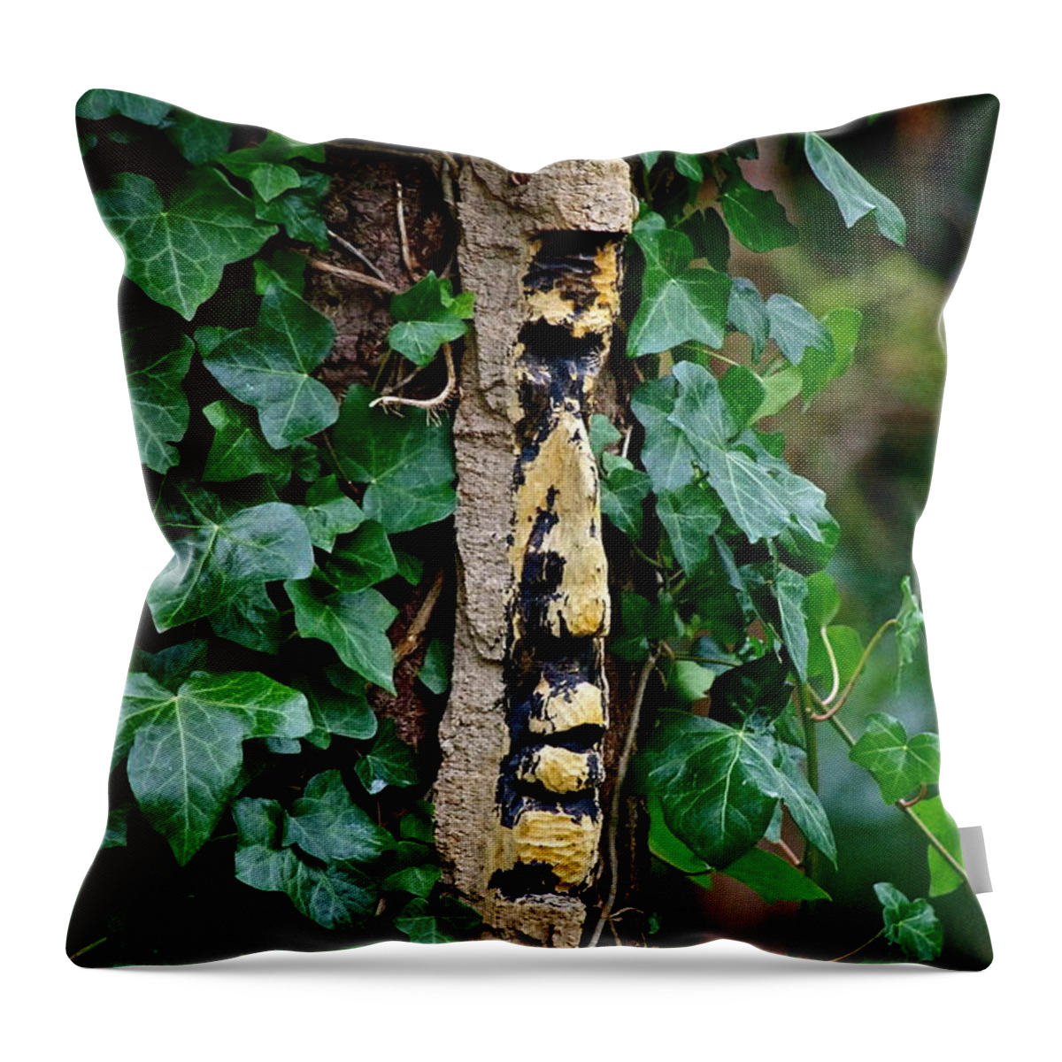 Ivy Throw Pillow featuring the photograph Under the ancient Ivy by Shelley Lewis