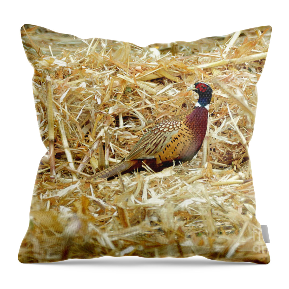 Pheasant Throw Pillow featuring the photograph Undercover by Lori Tordsen