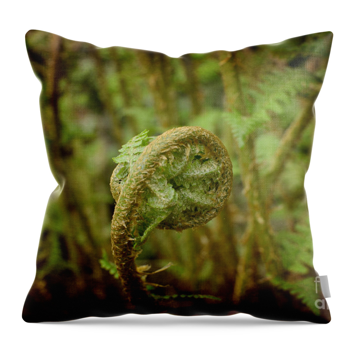  Throw Pillow featuring the photograph Unfurling Fern in the Garden by Maria Janicki