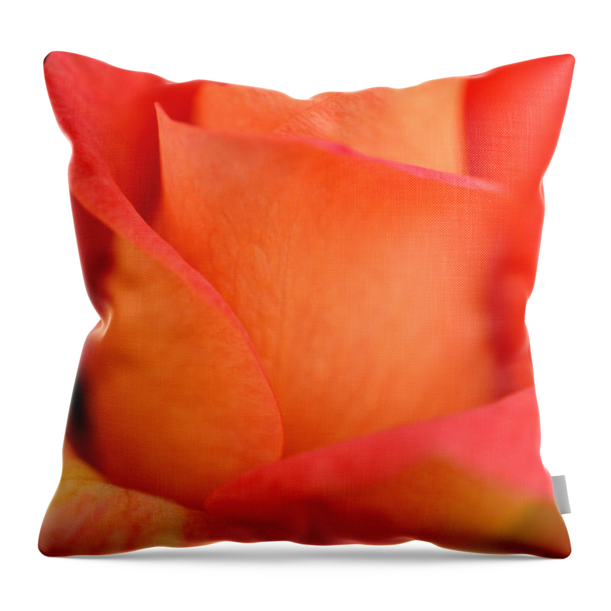 Rose Throw Pillow featuring the photograph Unique by Deb Halloran