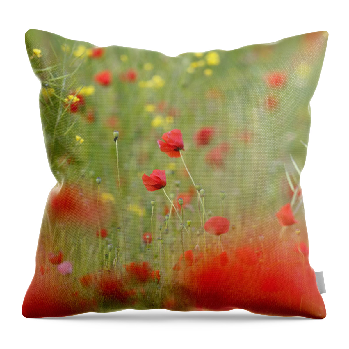 Bokeh Throw Pillow featuring the photograph United Colours of Summer by Roeselien Raimond