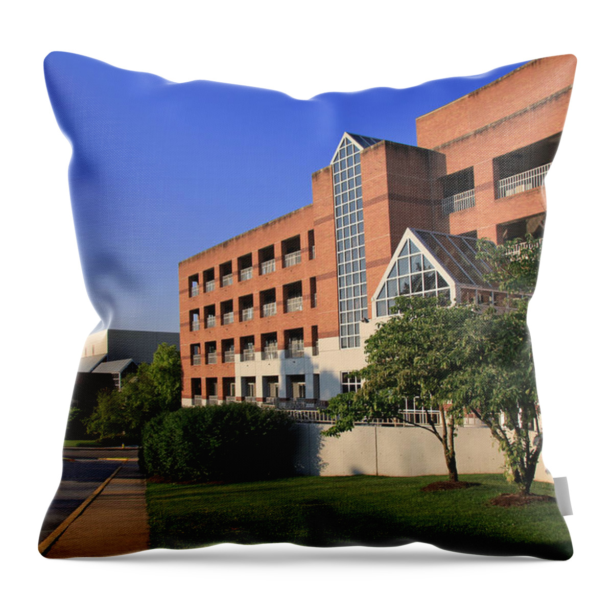 University Of Tennessee Throw Pillow featuring the photograph University of Tennessee Campus by Melinda Fawver