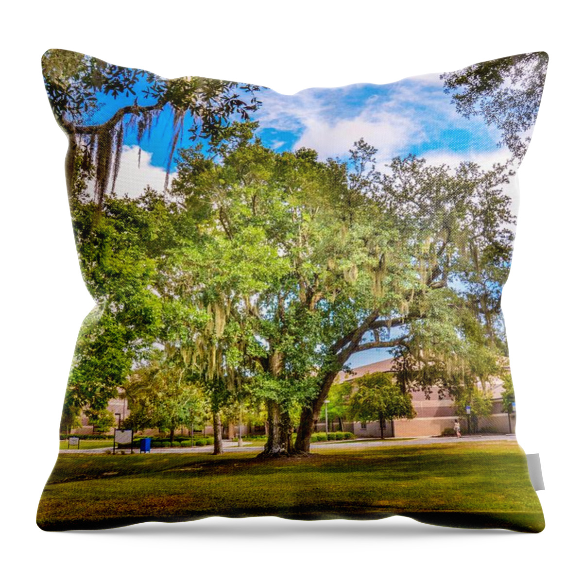 Hdr Throw Pillow featuring the photograph University Tree by Jon Cody