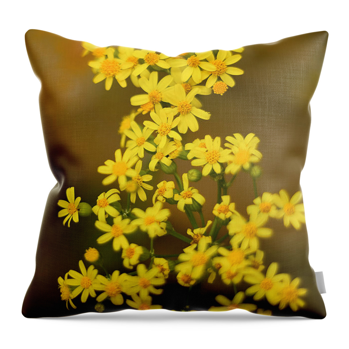 Vertical Throw Pillow featuring the photograph Unknown Flower by Richard J Thompson 