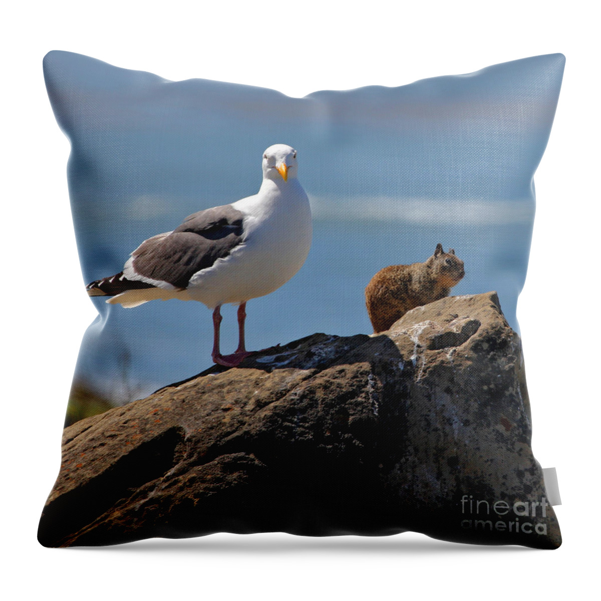 Bird Throw Pillow featuring the photograph Unlikely Friends by Diana Sainz by Diana Raquel Sainz