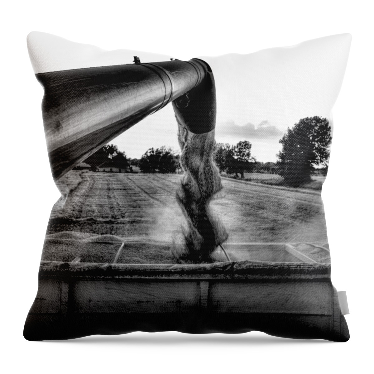 Ag Throw Pillow featuring the photograph Unloading by David Zarecor