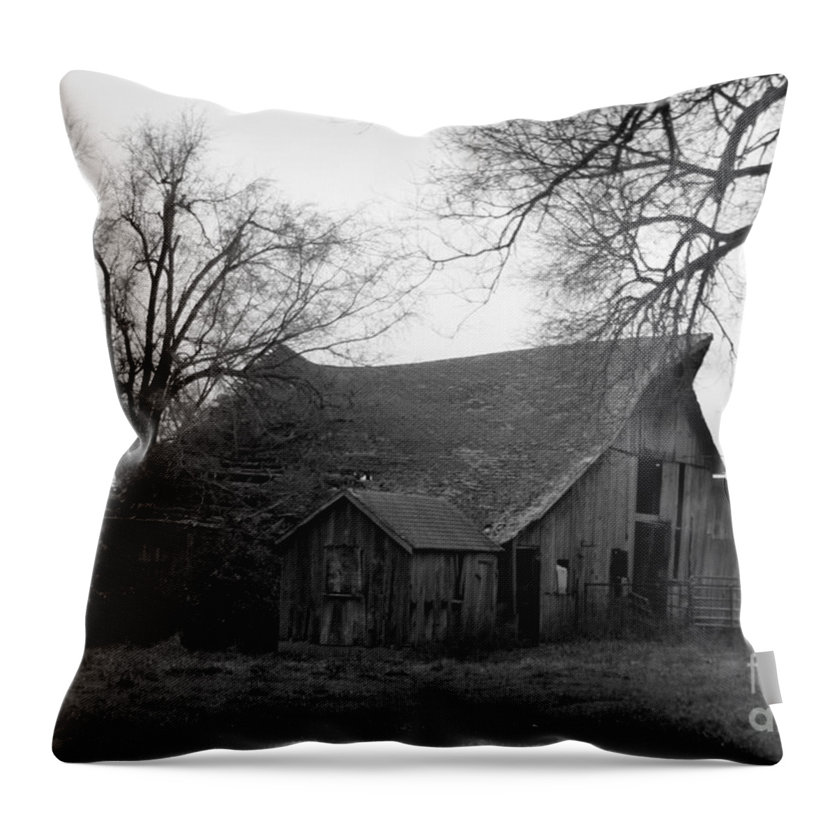 Black And White Throw Pillow featuring the photograph Until the Cows Come Home by Crystal Nederman
