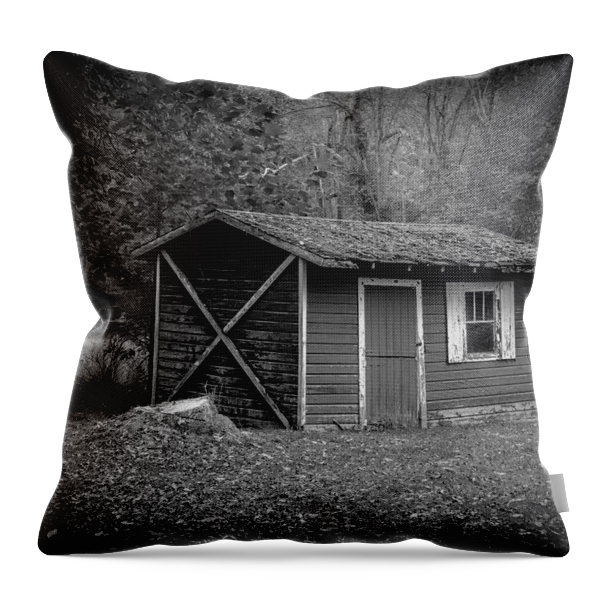 Workshop Throw Pillow featuring the photograph A Place in the Woods by Mark Rogers