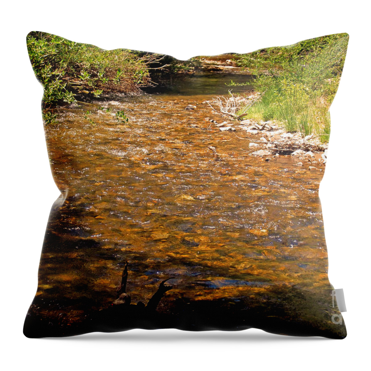 Water Throw Pillow featuring the photograph Up a Creek by Jennifer Lavigne