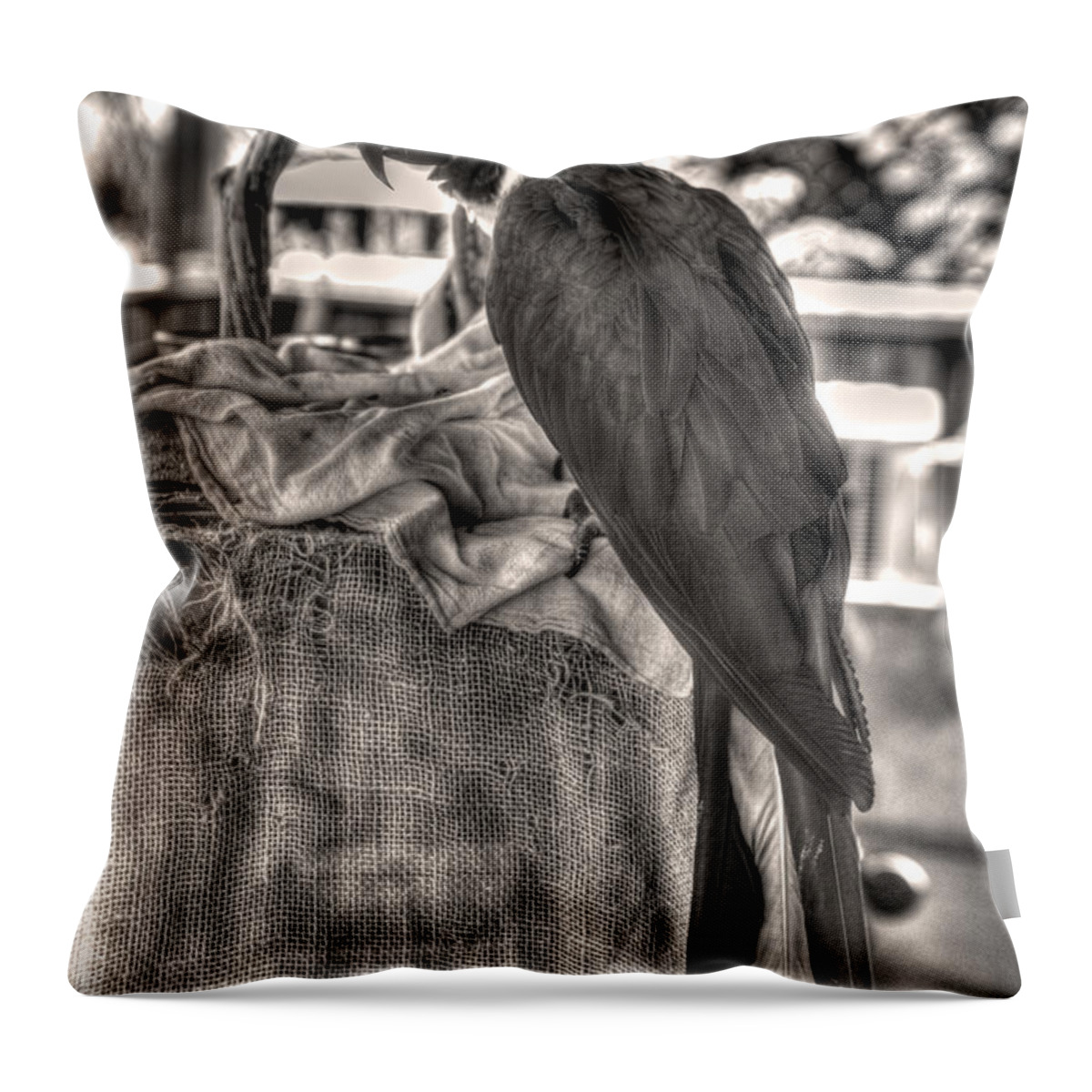 Up At The Blue Parrot Throw Pillow featuring the photograph Up At the Blue Parrot by William Fields