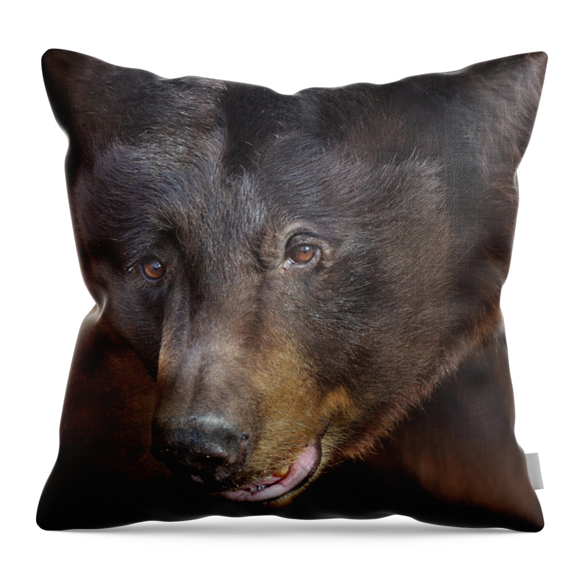 Bear Throw Pillow featuring the photograph Up Close and Personal by Barbara Manis