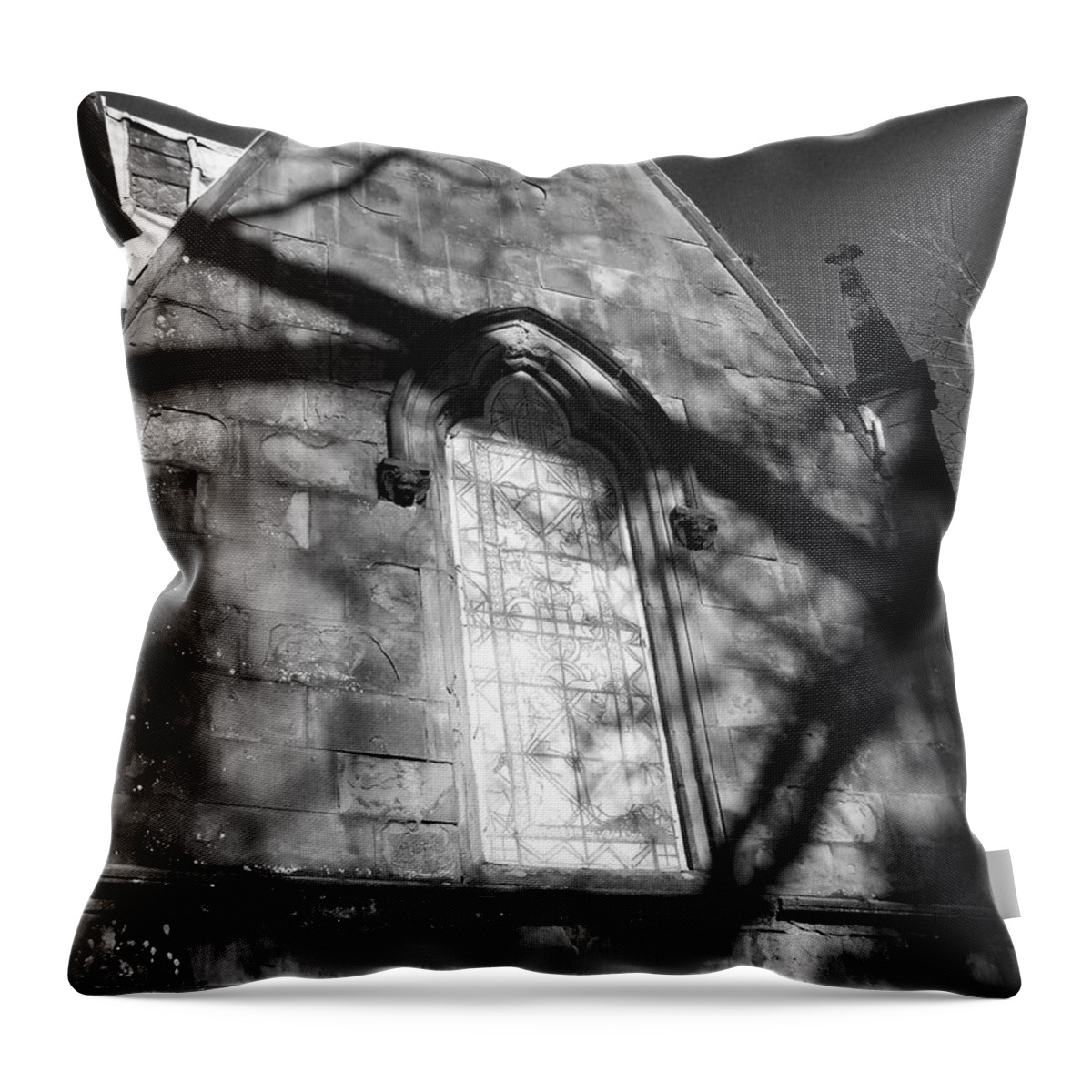 Mausoleum Throw Pillow featuring the photograph Up close by Heather L Wright