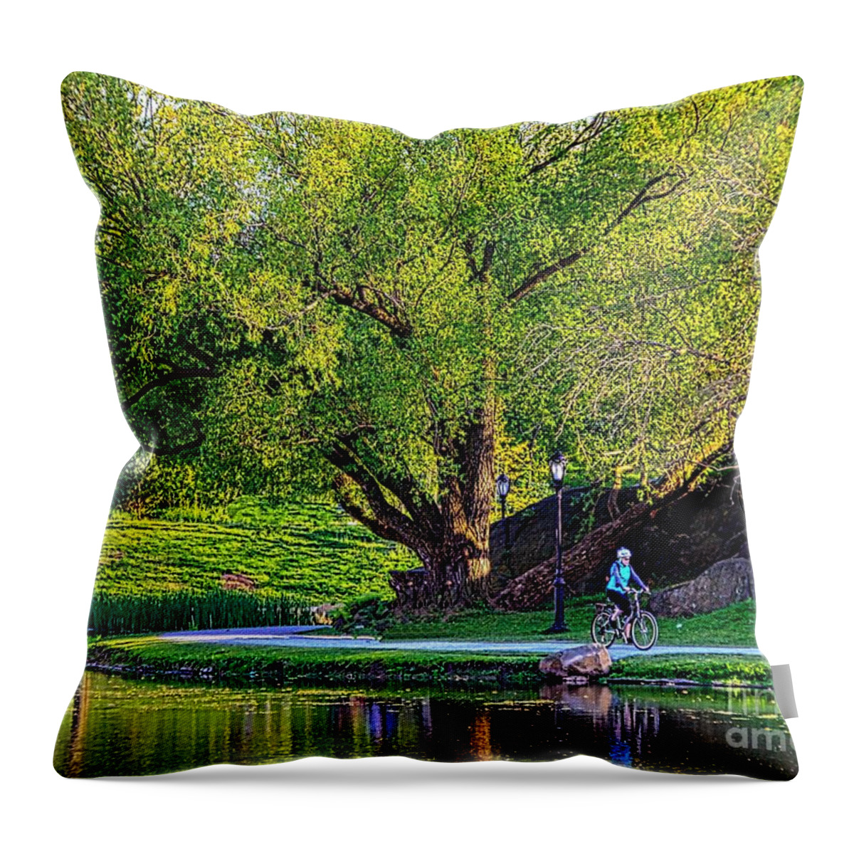 Central Park Throw Pillow featuring the mixed media Uphill All The Way by Terry Wallace