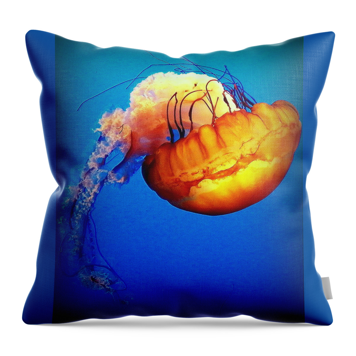 Jellyfish Throw Pillow featuring the photograph Upside Down Jelly by Faith Williams