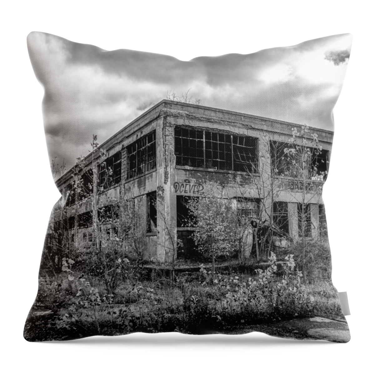 Buffalo Central Terminal Throw Pillow featuring the photograph Urban Decay 7D08417 by Guy Whiteley