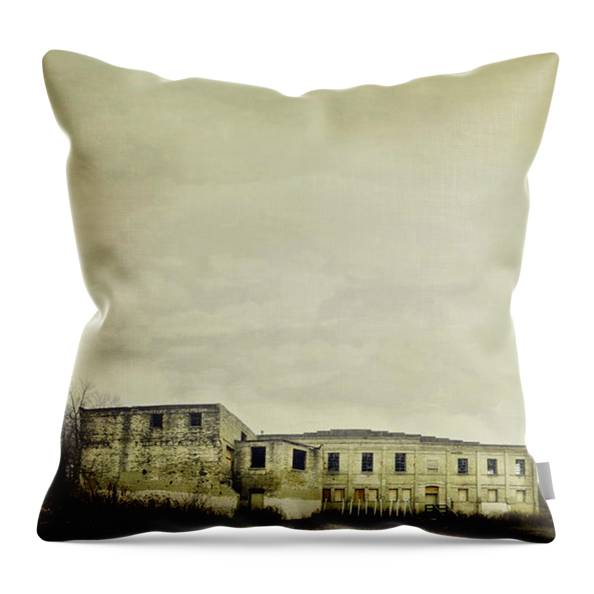 Warehouse Throw Pillow featuring the photograph Urban Ruins by Scott Norris