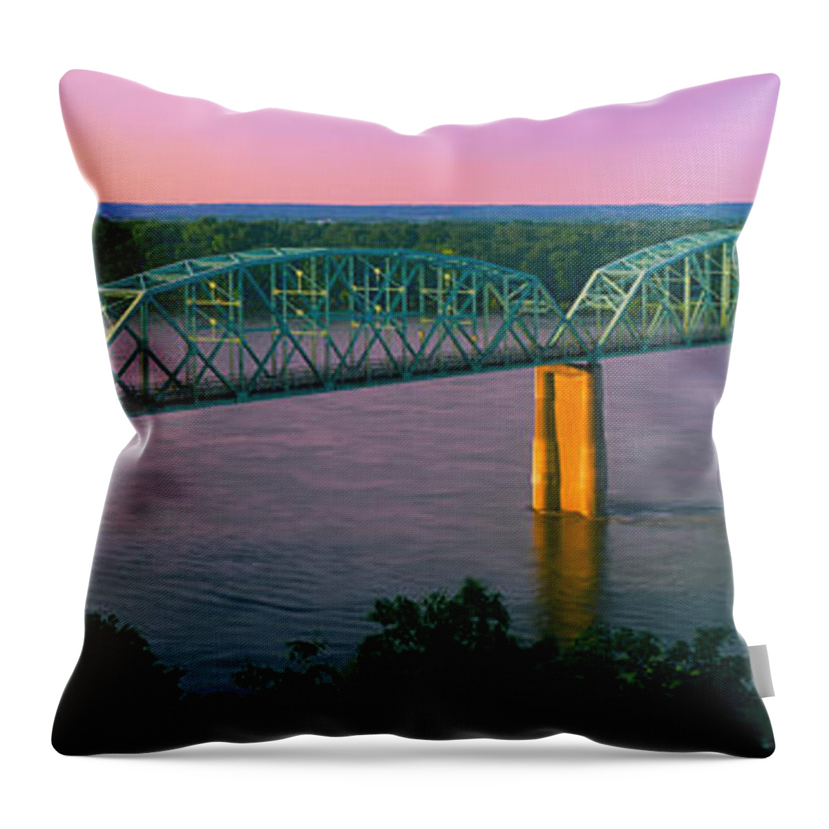 Photography Throw Pillow featuring the photograph Usa, Missouri, High Angle View by Panoramic Images