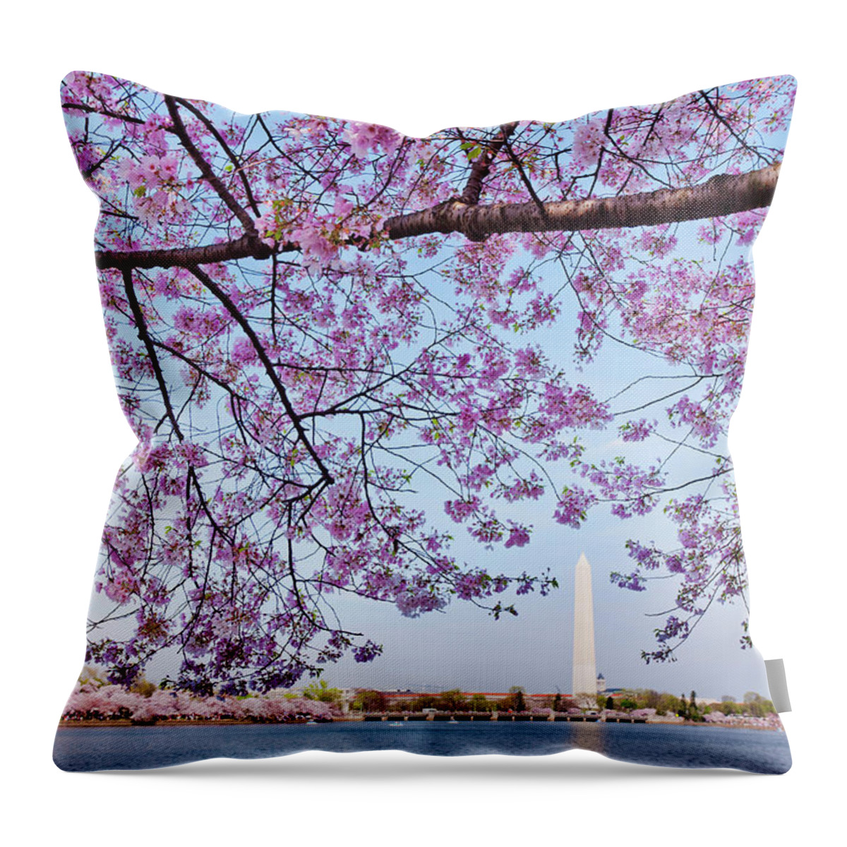 Scenics Throw Pillow featuring the photograph Usa, Washington Dc, Cherry Tree In by Tetra Images