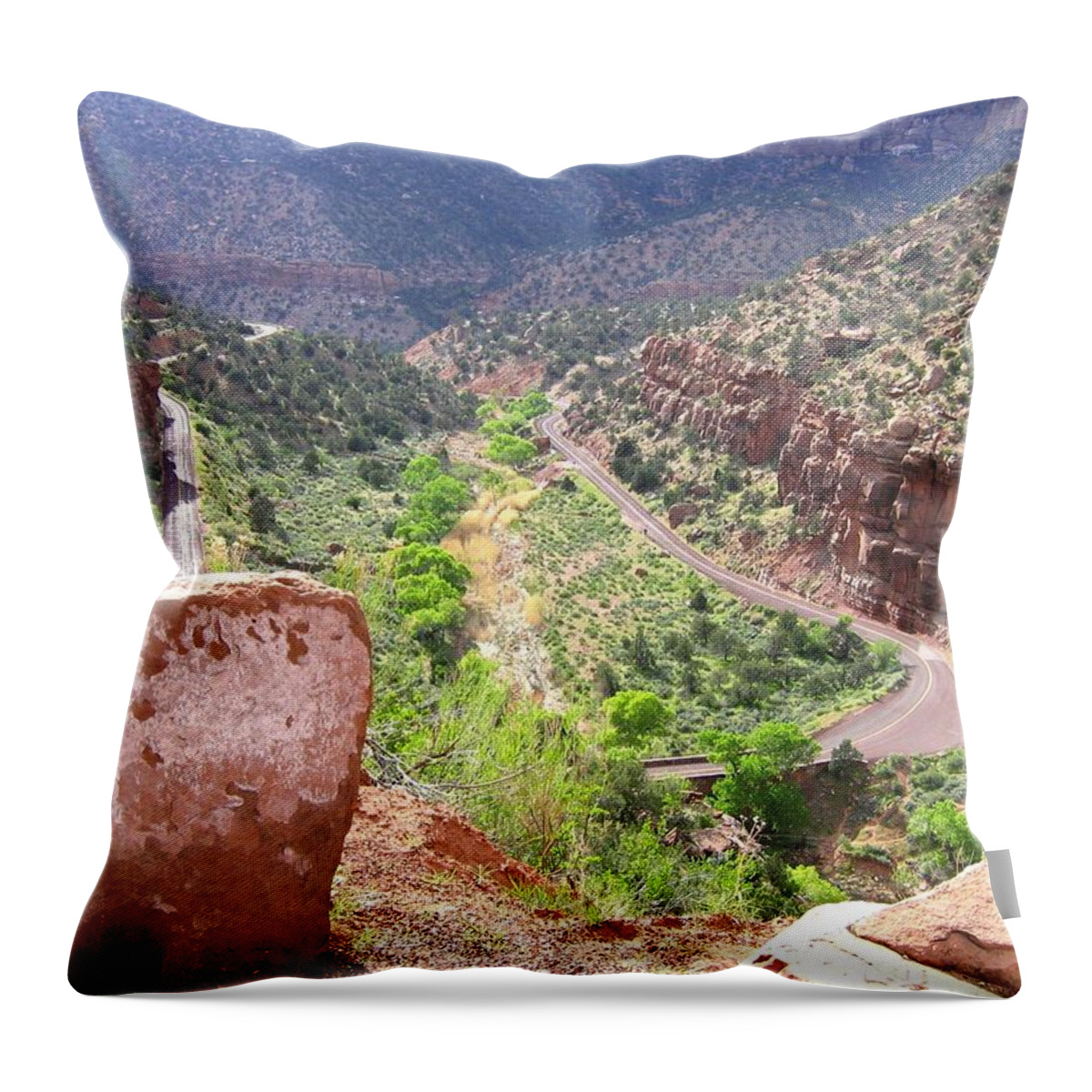 Utah 22 Throw Pillow featuring the photograph Utah 22 by Will Borden