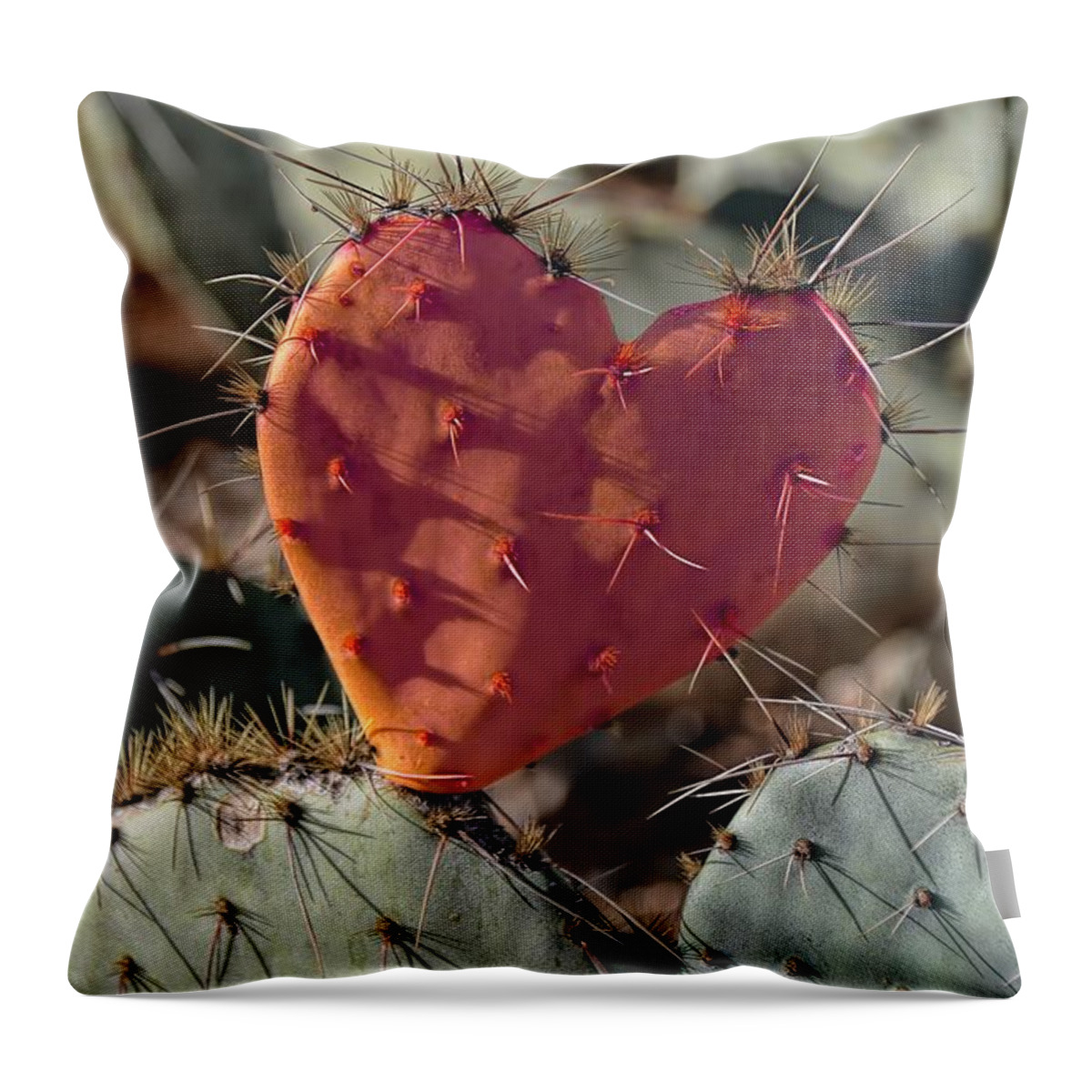 Valentine Throw Pillow featuring the photograph Valentine Prickly Pear Cactus by Henry Kowalski
