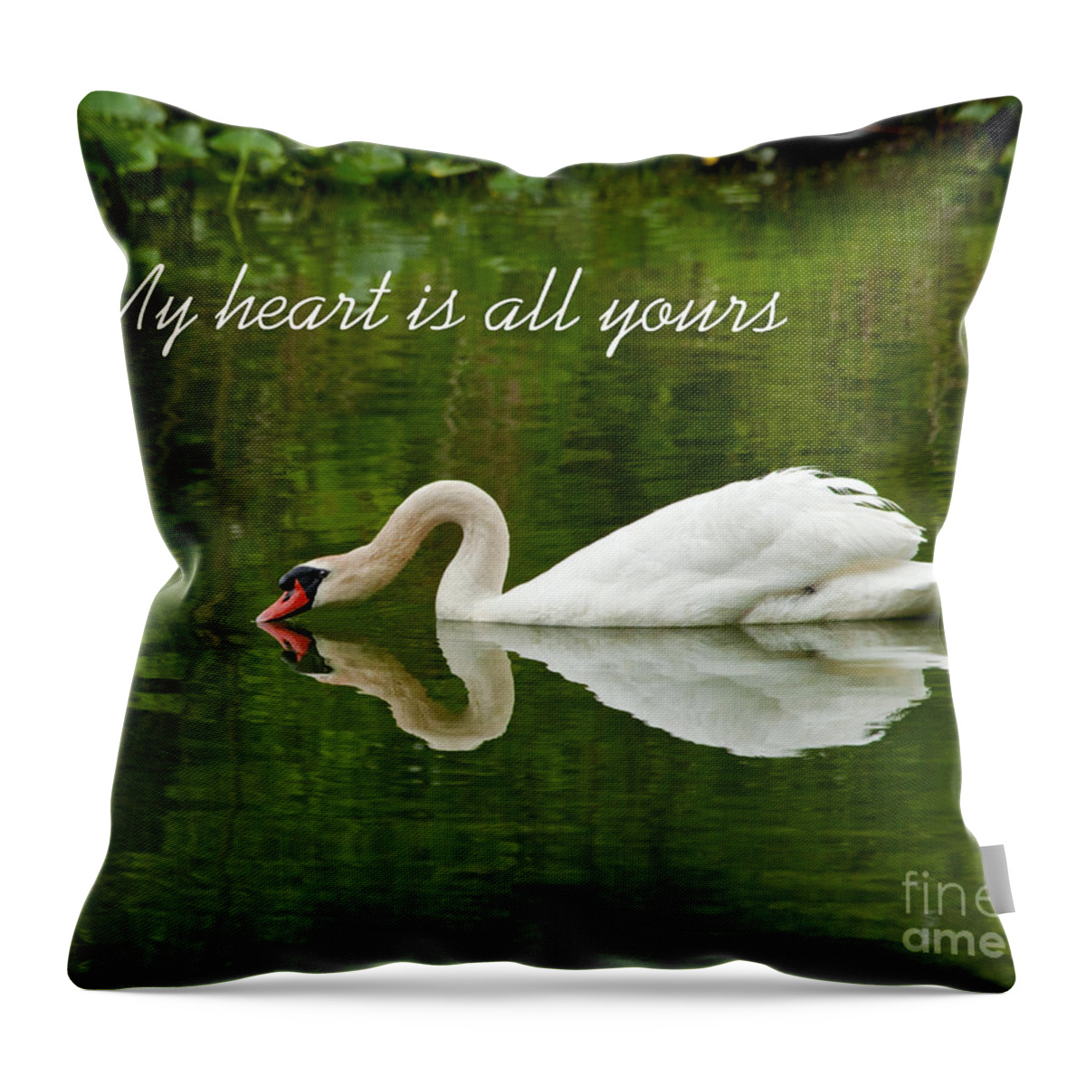 Swan Lake Photographs Throw Pillow featuring the photograph Valentines Swan Heart Original Fine Art Photograph Print And Greeting Card by Jerry Cowart