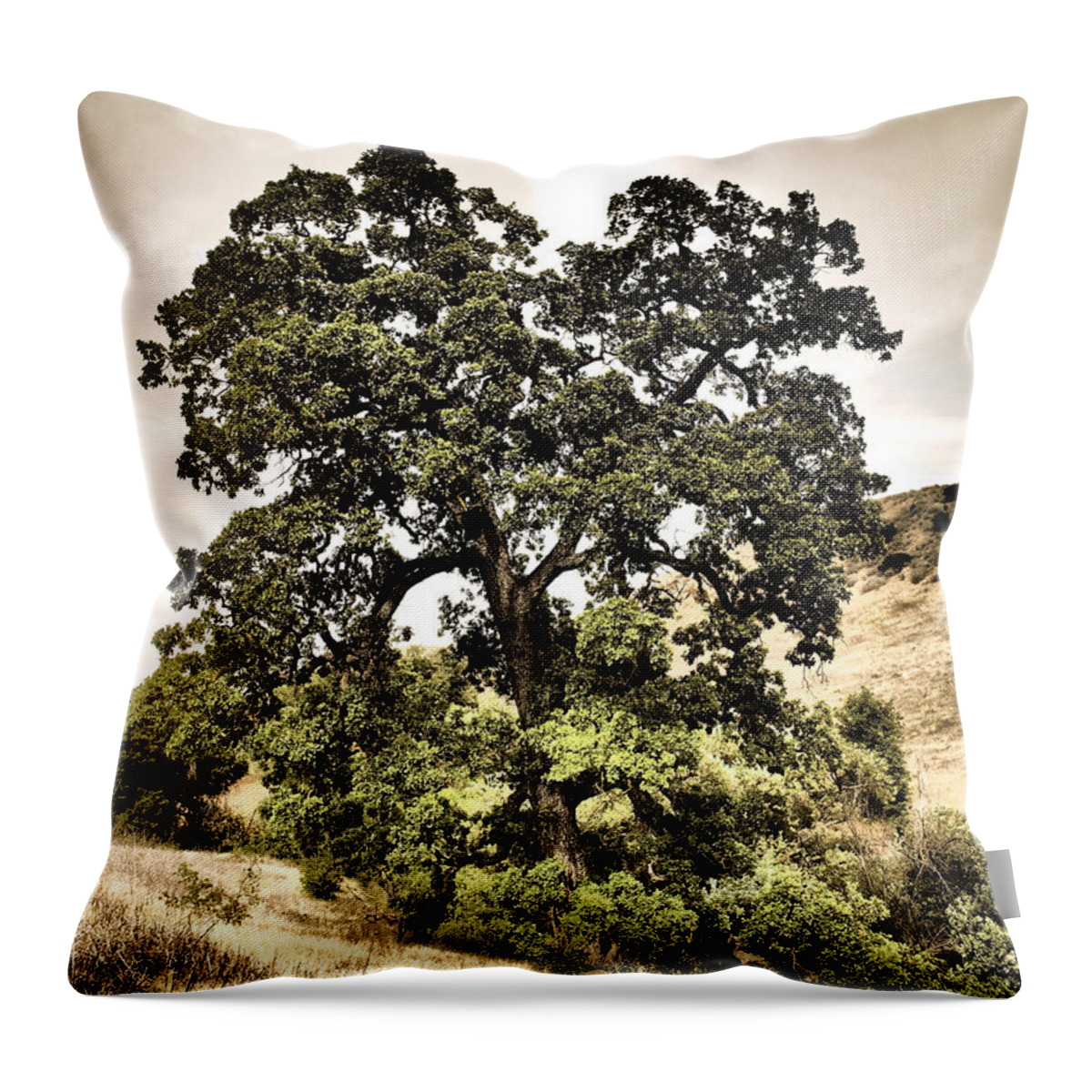 California Throw Pillow featuring the photograph Valley Oak by Parrish Todd