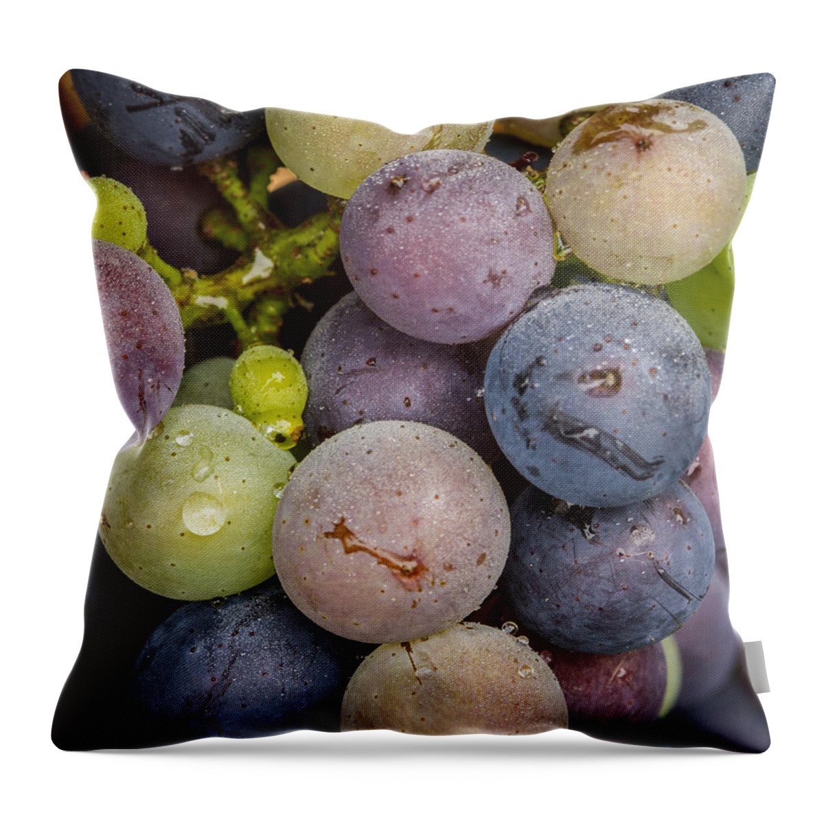 Grape Throw Pillow featuring the photograph Variation by Jean Noren