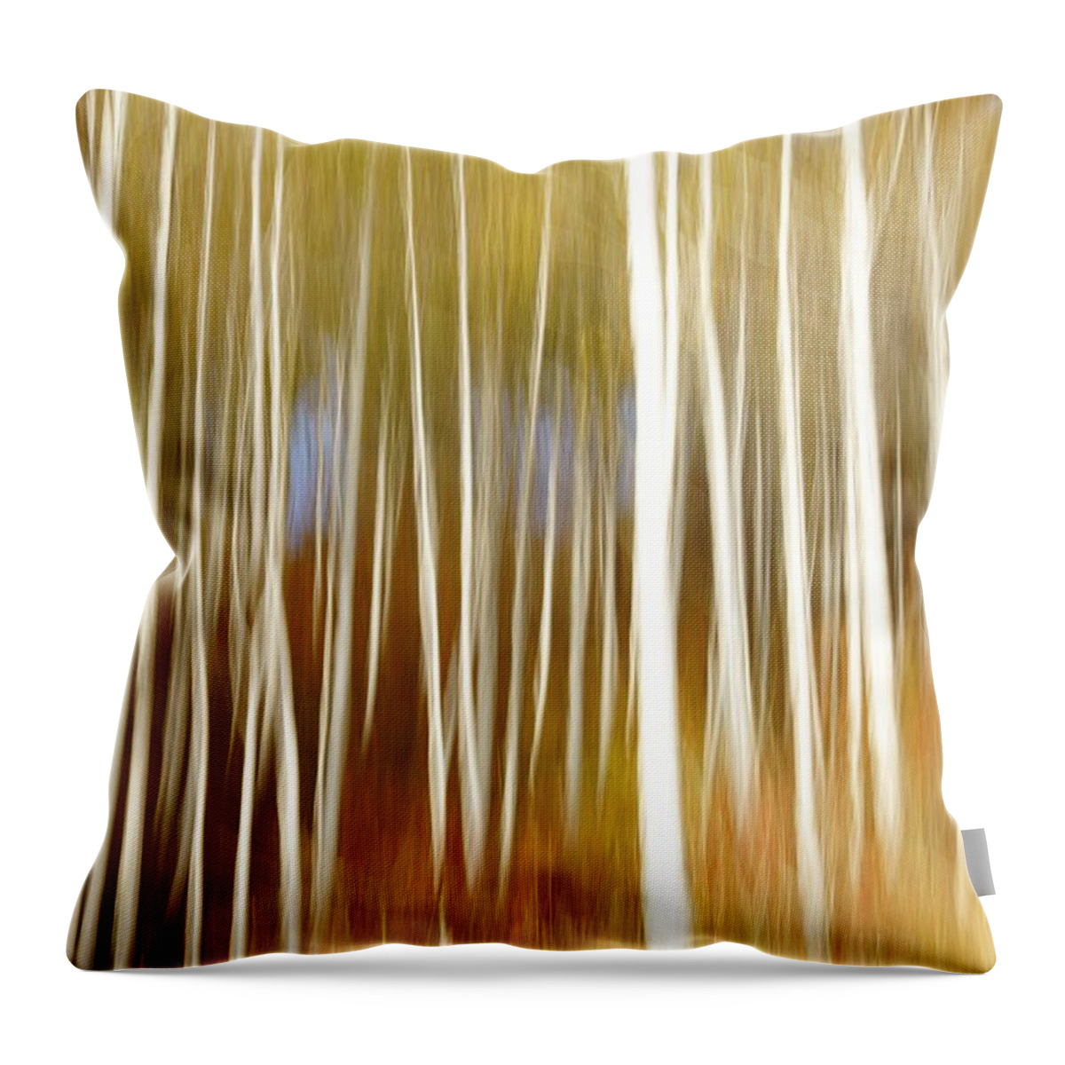 Blurred Motion Throw Pillow featuring the photograph Variation Of Birch by Penboy