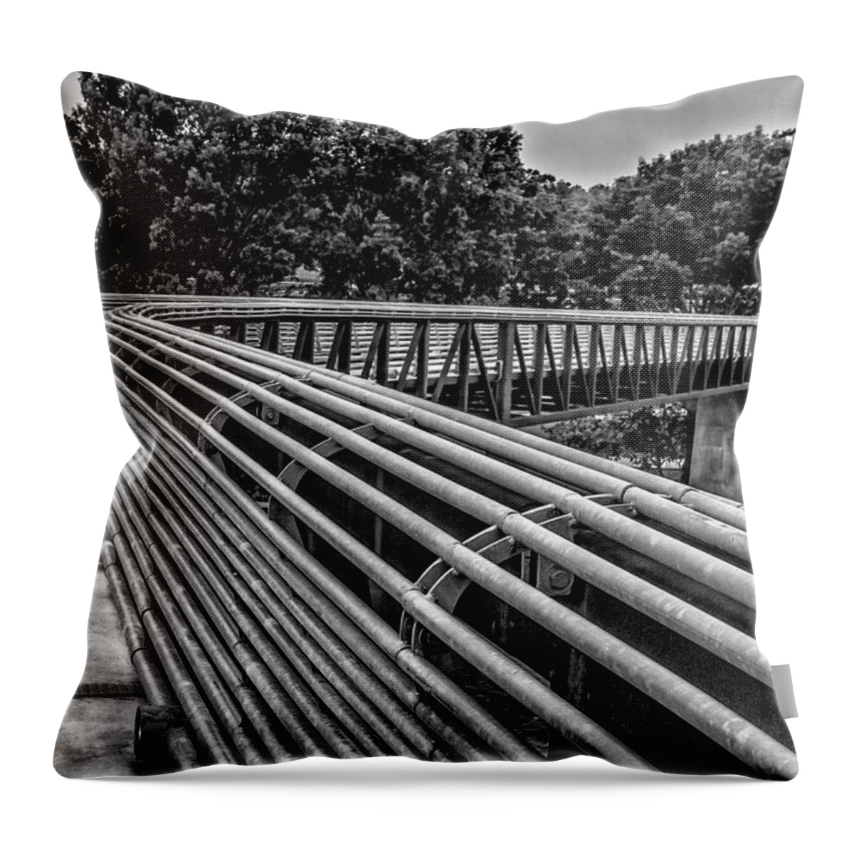 Velocity Throw Pillow featuring the photograph Velocity by James Woody