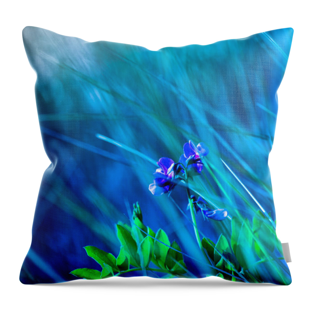 Purple Throw Pillow featuring the photograph Vetch In Blue by Adria Trail