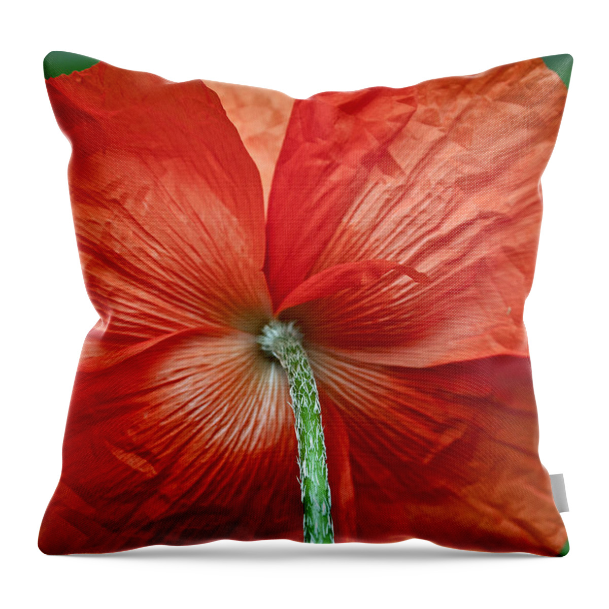 Poppy Throw Pillow featuring the photograph Veterans Day Remembrance by Tikvah's Hope