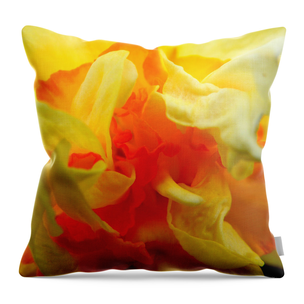 Botanical Throw Pillow featuring the photograph Vibrant Daffodil by Kimmary MacLean