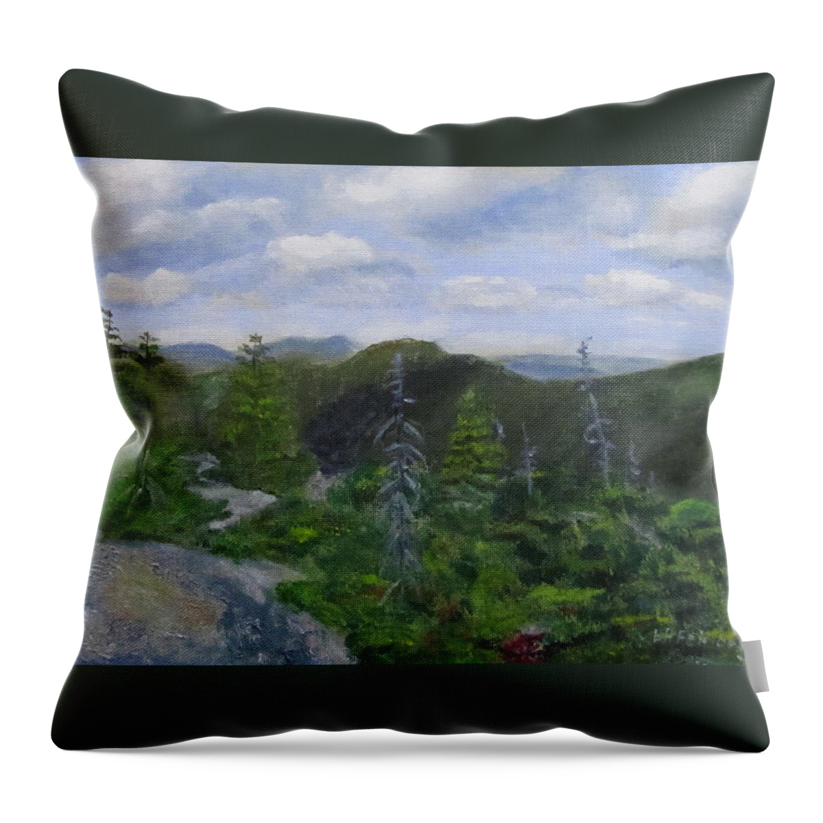 White Mountains Throw Pillow featuring the painting View from Noon Peak by Linda Feinberg