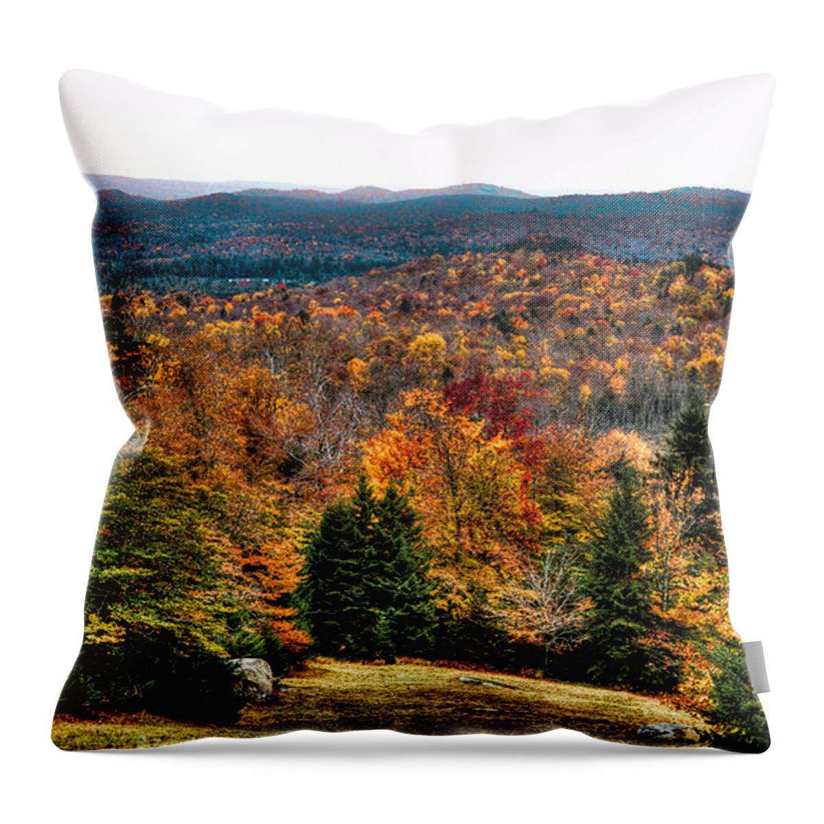 Adirondack's Throw Pillow featuring the photograph View from the top of McCauley Mountain by David Patterson