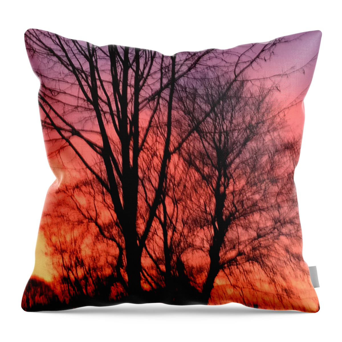 Colette Throw Pillow featuring the photograph View From Window by Colette V Hera Guggenheim